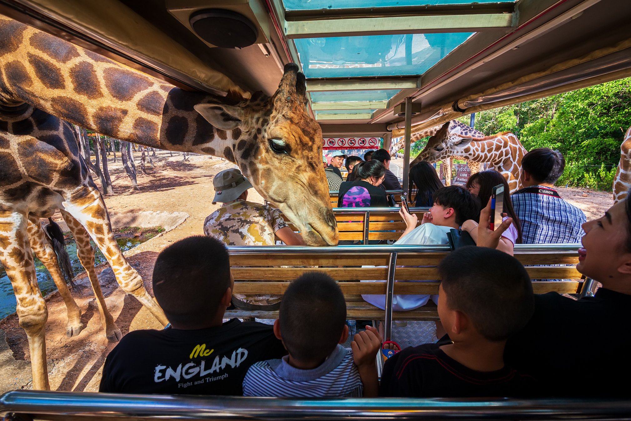 chiang-mai-night-safari-3