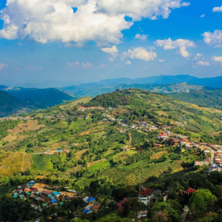 Doi-Mae-Salong