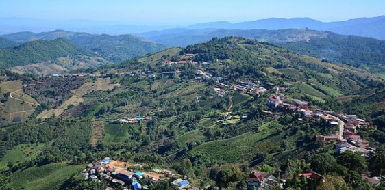 Jour 17 : Chiang Mai – Doi Mae Salong – Triangle d’or (B)