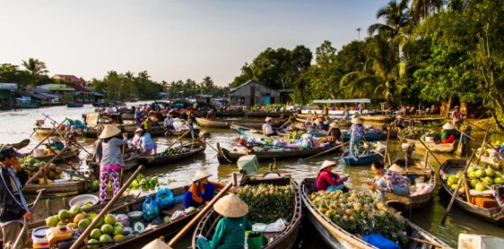 Jour 7 : Can Tho – Tra Su – Chau Doc (B)