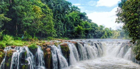 Jour 11 : Pakse- Plateau des Bolovens (B)