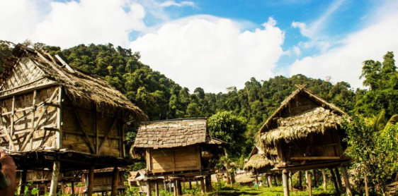 Jour 19 : Ban Sop Chem – Muang Ngoy – Luang Prabang (B)