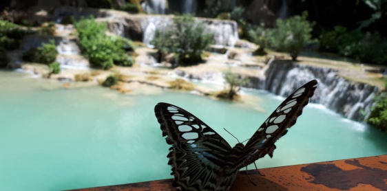 Jour 19 : Luang Prabang - Mont Phousi - Chutes de Kuang Si (B)
