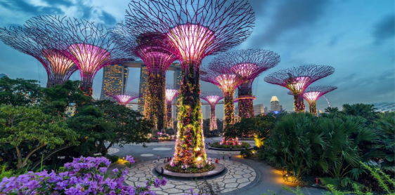 Day 9: Singapore- Garden Bay (B)