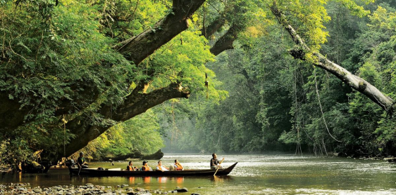 Day 6: Kuala Lumpur – Taman Negara (B, D) 