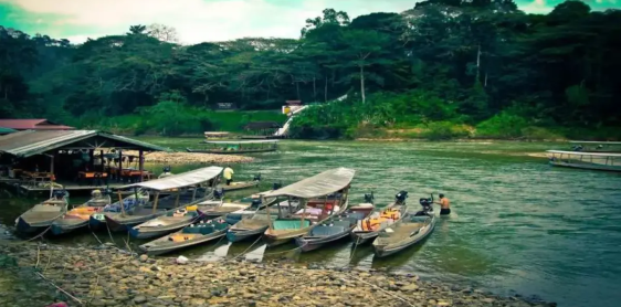 Day 7: Taman Negara (B, L, D) 