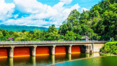 Pont de Link