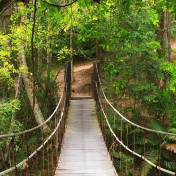 Parc de Khao Yai