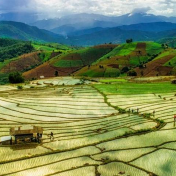 Chiang Mai