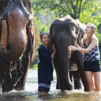 Que voir en Thailande en 15 jours