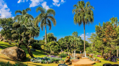 Doi Tung & Mae Fah Luang Garden