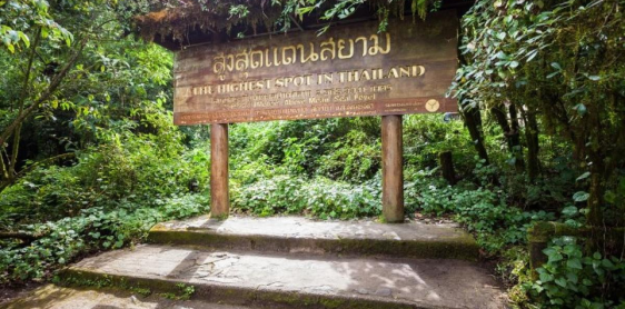 Jour 10 : Chiang Mai - Doi Inthanon (B)