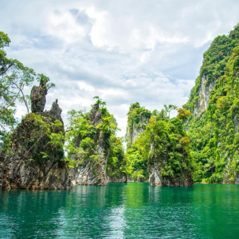 Journée de bateau Koh Phi Phi et Baie de Maya 1 jour