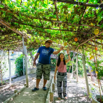 Klong Mahasawat Agro Tour - Half day