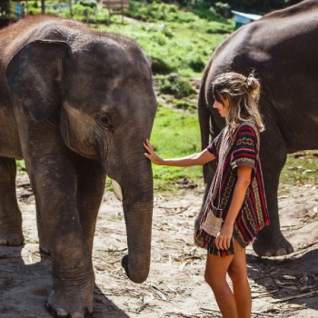 Voyage suggéré en 15 jours en Thailande