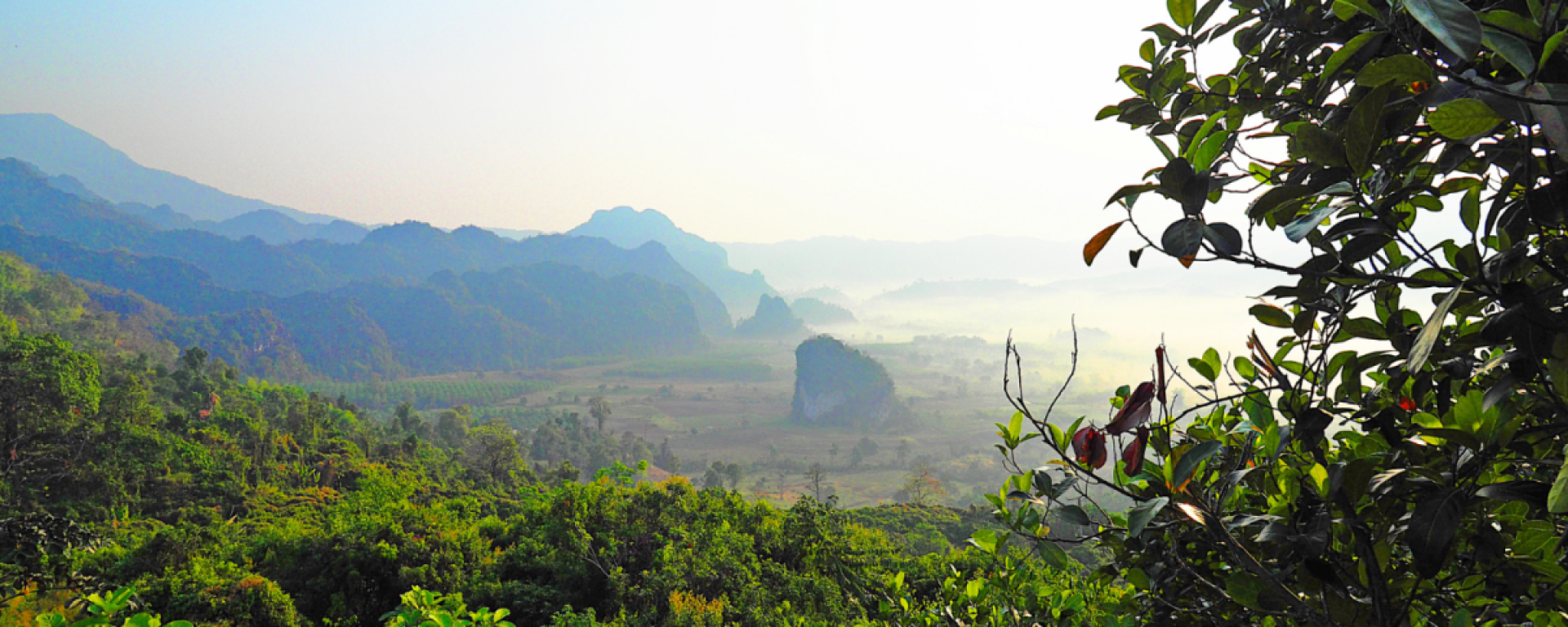 Parc national de Phu Lang Ka