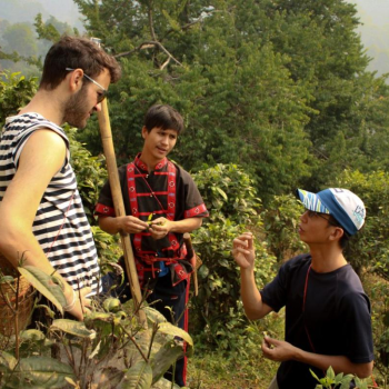 Hill tribe treks To The Less Seen Area Of Chiang Mai 3 Days