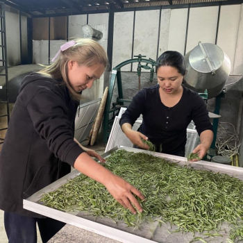 Hill tribe treks To The Less Seen Area Of Chiang Mai 3 Days