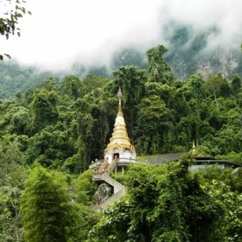 Tree House Chiang Dao Homestay + E-co Trek and Sticky Waterfall 2D1N