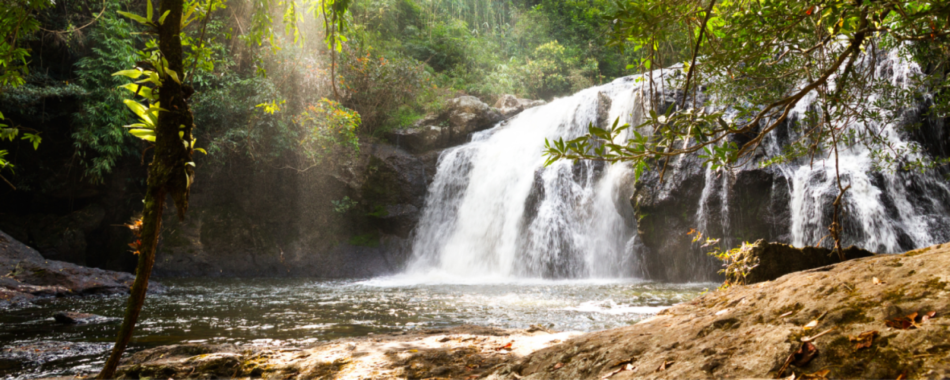 Cascades