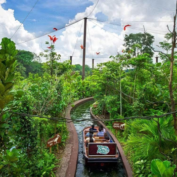 Short trip to Bangkok with your kid 5 days