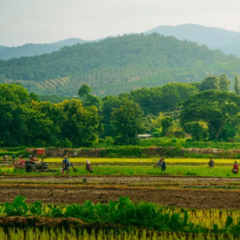 Randonnée en pleine nature du nord de Thailande 11 jours