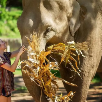 Good Idea To Spend 2 Weeks With Your Family In Thailand