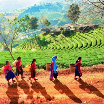 Less Visited Thailand 17 Days 16 Nights