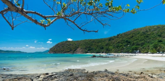 Jour 16 : Koh Samet - Bangkok – Départ (B) Sans guide
