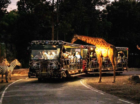 Chiang Mai Night Safari reopens