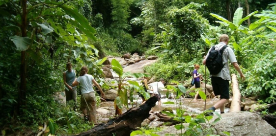 Une journée :  Cascade de Mofha - Village d'Arka - Village de Lahu - village de Shan - Trekking & Radeau en bambu (L)