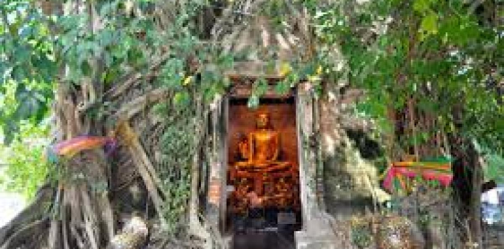 Day 3: Bangkok - Biking Tour (B) Join - in / No guide