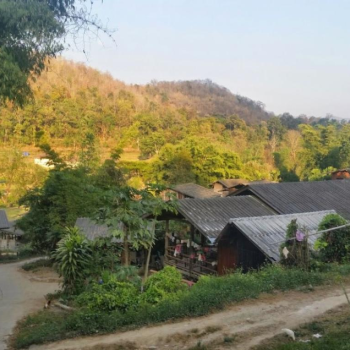 Temples de Chiang Rai et Rivière de Mae Kok 1 jour