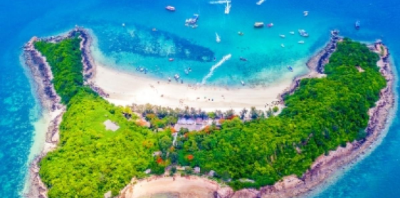 Day 5:Pattaya Beach (B) Free time – No Guide no Driver 