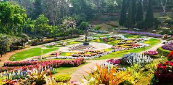 Day 9: Chiang Mai – Chiang Rai (B)