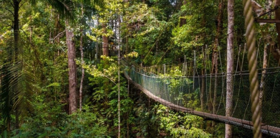 Jour 6 : Kuala Lumpur - Taman Negara (B, D)