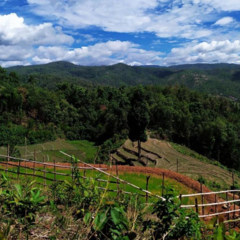 Randonnnée au villages de tribus montagnardes de Chiang Rai 2 jours 1 nuit