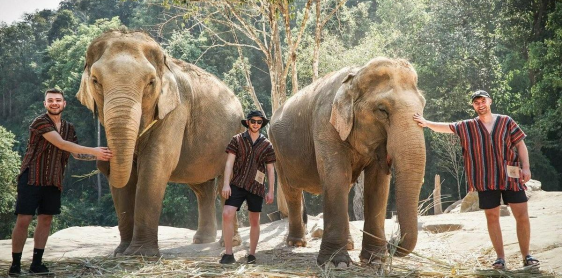 Day 6: Chiang Rai City - Elephant Riding (B)