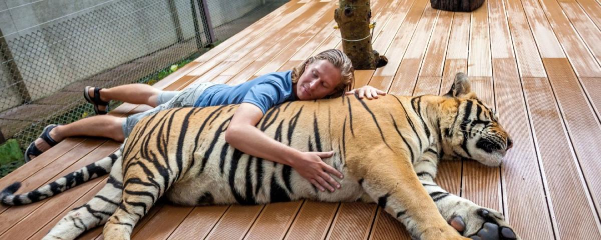 The Tiger Kingdom