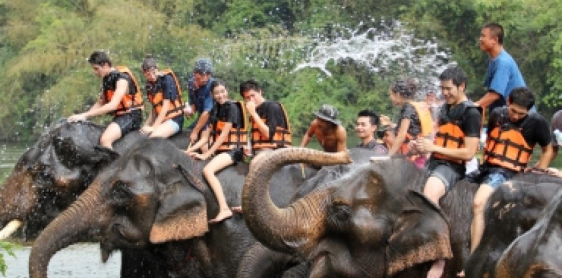 Day 5:Kanchanaburi – Elephant Camp – Hua Hin (B)