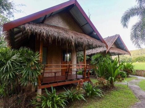 Top 6 meilleures auberges de jeunesse à Chiang Mai