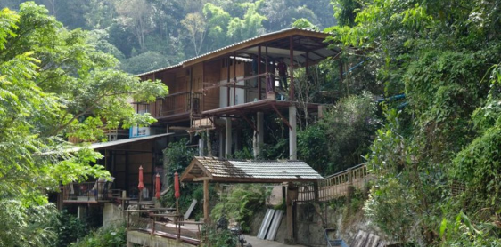 Jour 11 : Chiang Mai –  Sanctuaire des éléphants d'une demi-journée – Randonnée jusqu'au village de Lahu (B/L/D)