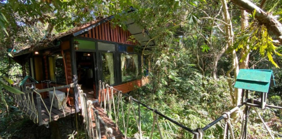 Jour 10 : Khao Sok - Lark Chao Larn (B) Excursion collective avec guide anglophone