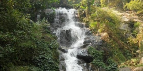 Day 2: Chiang Rai – Elephant Care & Waterfall (B, L)