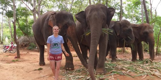 Jour 5 : Buriram – Prasat Si Khoaphum – Village de Tham Tum – Surin (B)