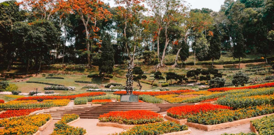 Jour 6 : Chiang Rai (B)