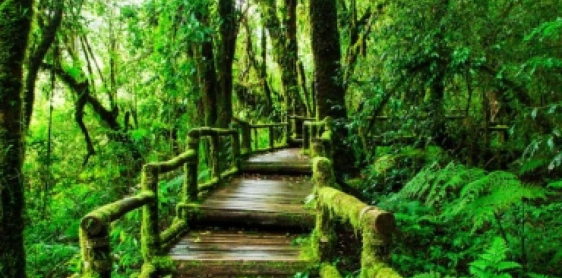 Day 2: From Karen village to Karen village (B/L/D)