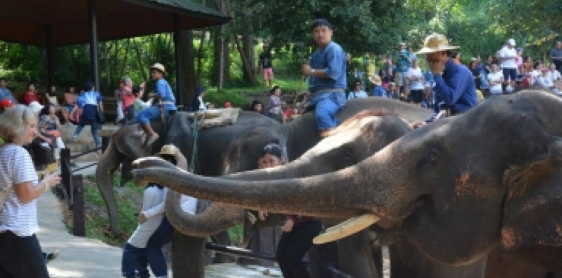 Day 3: Karen Hilltribe Village – Bamboo Raft – Chiang Mai (B/L) Private tour