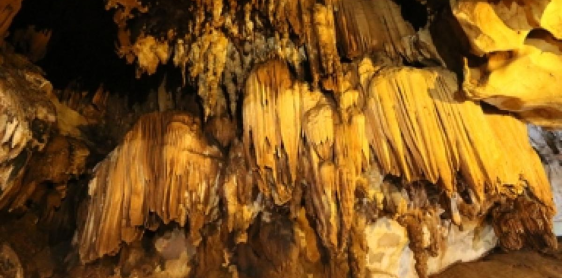 Day 2: Palong Village – Chiang Mai (B/L)