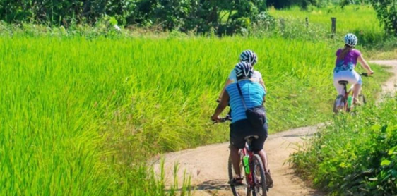 Jour 10 : Chiang Mai – Lampang – Lamphun - Chiang Mai (B)